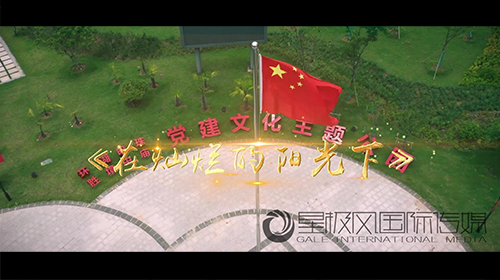 在燦爛的陽光下